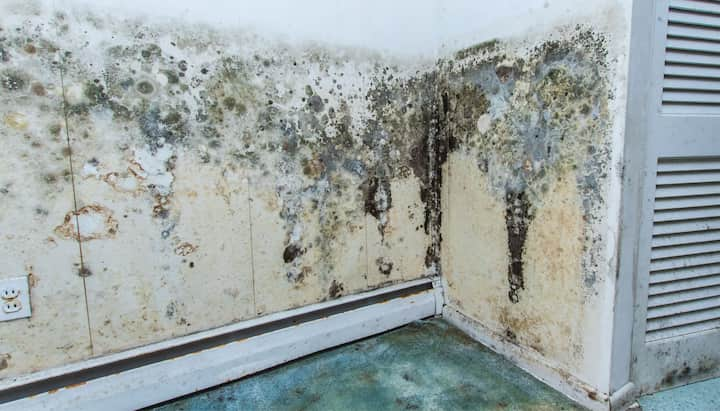 A mold remediation team using specialized techniques to remove mold damage and control odors in a Concord property, with a focus on safety and efficiency